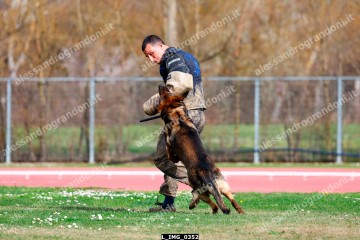 L_IMG_0352.jpg