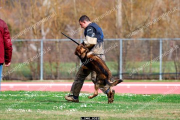 L_IMG_0353.jpg