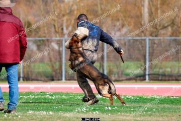 L_IMG_0354.jpg