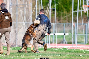 L_IMG_0356.jpg