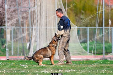 L_IMG_0357.jpg