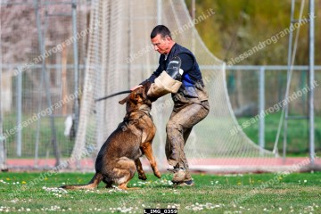 L_IMG_0359.jpg