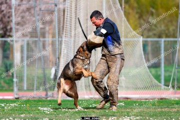 L_IMG_0360.jpg