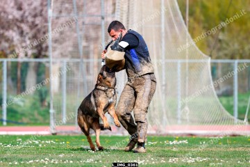 L_IMG_0361.jpg