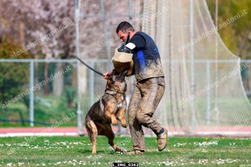 L_IMG_0362.jpg