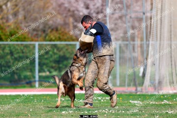 L_IMG_0363.jpg