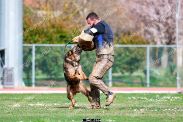 L_IMG_0364.jpg