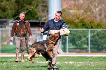 L_IMG_0365.jpg