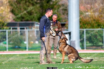 L_IMG_0366.jpg
