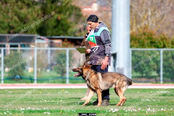 L_IMG_0368.jpg
