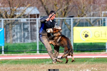 L_IMG_0369.jpg