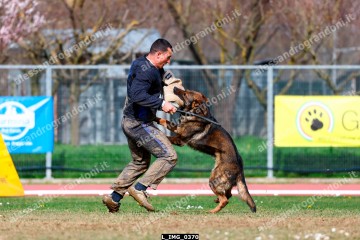 L_IMG_0370.jpg