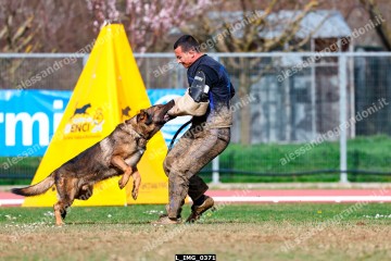 L_IMG_0371.jpg