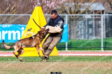 L_IMG_0372.jpg
