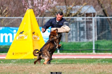 L_IMG_0373.jpg