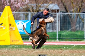 L_IMG_0374.jpg