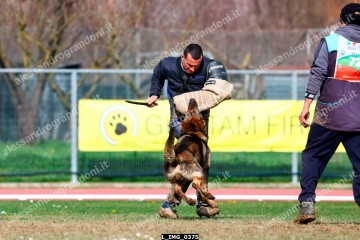 L_IMG_0375.jpg