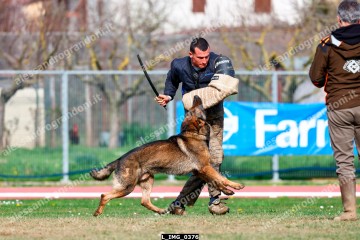 L_IMG_0376.jpg