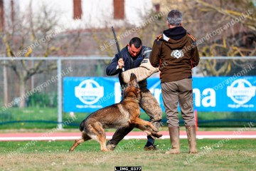 L_IMG_0377.jpg