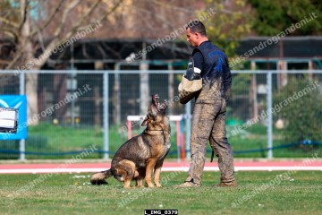 L_IMG_0379.jpg