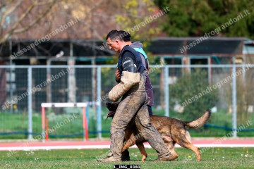 L_IMG_0380.jpg