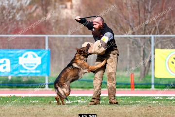 L_IMG_0381.jpg