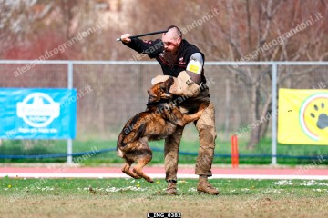 L_IMG_0382.jpg