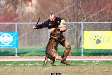 L_IMG_0383.jpg