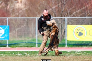 L_IMG_0385.jpg