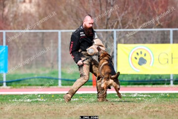 L_IMG_0386.jpg