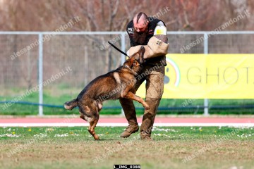 L_IMG_0388.jpg