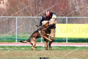 L_IMG_0389.jpg