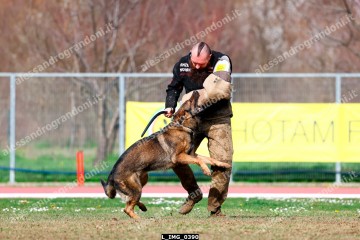 L_IMG_0390.jpg