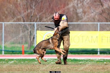 L_IMG_0391.jpg