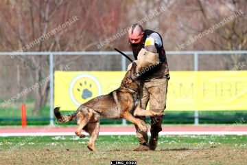 L_IMG_0392.jpg
