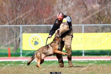 L_IMG_0393.jpg