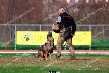 L_IMG_0395.jpg