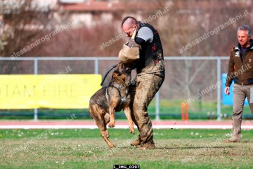 L_IMG_0397.jpg