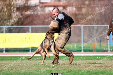 L_IMG_0398.jpg