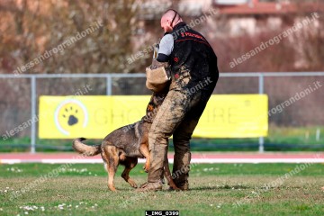 L_IMG_0399.jpg