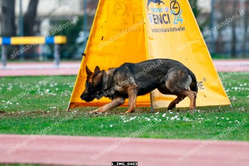 L_IMG_0403.jpg