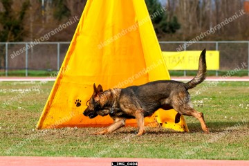 L_IMG_0404.jpg