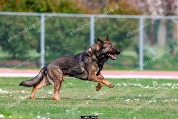 L_IMG_0405.jpg