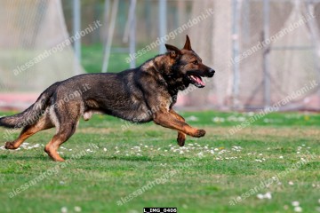L_IMG_0406.jpg