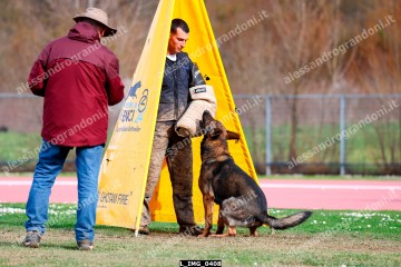 L_IMG_0408.jpg