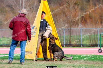 L_IMG_0409.jpg