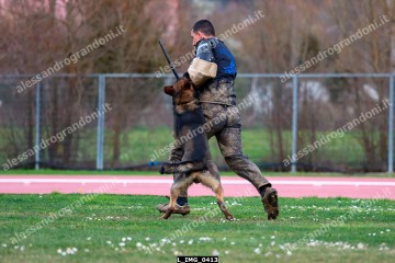 L_IMG_0413.jpg