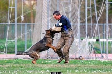 L_IMG_0416.jpg