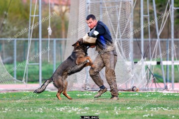 L_IMG_0417.jpg