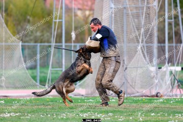 L_IMG_0418.jpg